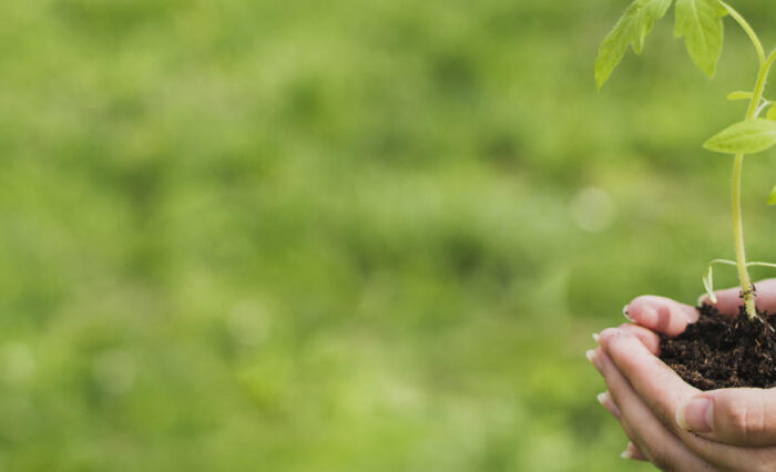 Simplification environnementale : participez à la consultation européenne !