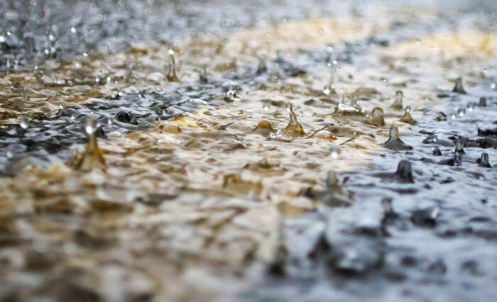 25 février au Sénat, Roland Lescure, ministre de l'Economie, a été interrogé sur le sujet de l'assurabilité des risques naturels.